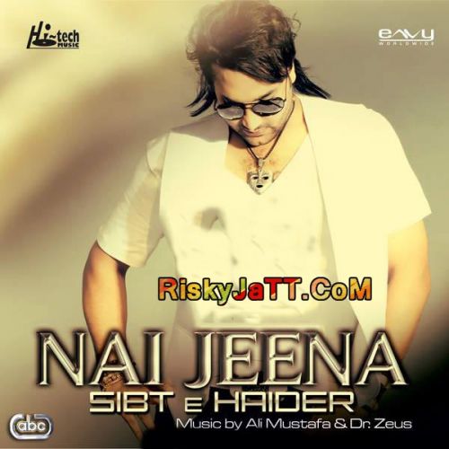 download Din Pyar De Dr Zeus, Sibt E Haider mp3 song ringtone, Nai Jeena Dr Zeus, Sibt E Haider full album download