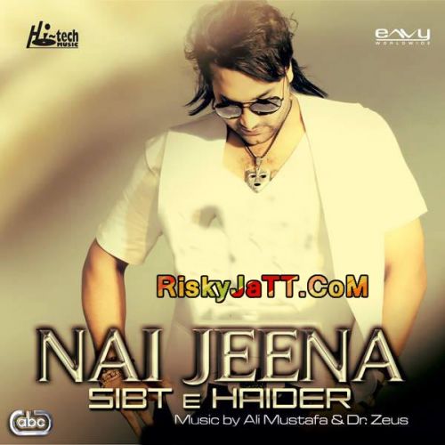 download Jaan E Mann Sibt E Haider mp3 song ringtone, Nai Jeena Sibt E Haider full album download