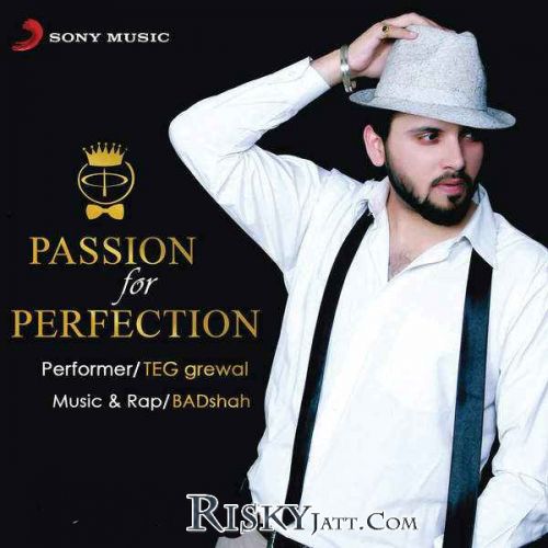download Vang TEG Grewal mp3 song ringtone, Passion for Perfection TEG Grewal full album download