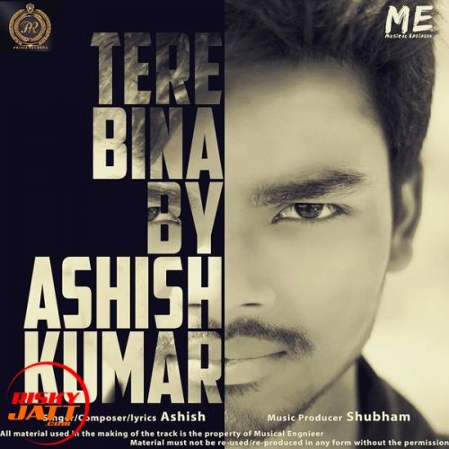 download Tere Bina Ashish Kumar, Shubham mp3 song ringtone, Tere Bina Ashish Kumar, Shubham full album download