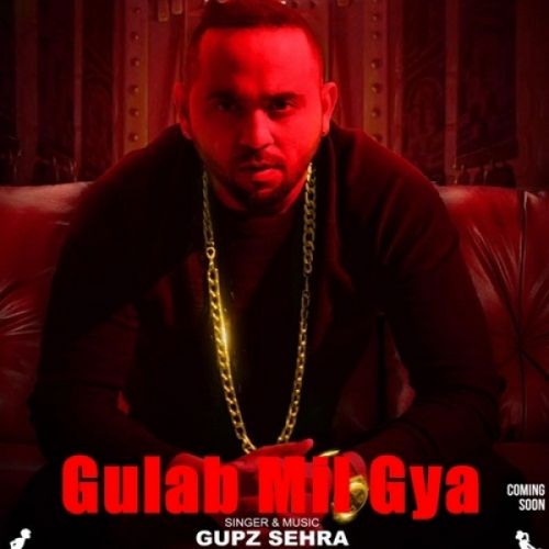 download Gulab Mil Gya Gupz Sehra mp3 song ringtone, Gulab Mil Gya Gupz Sehra full album download