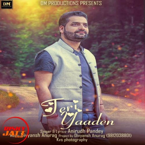 download Teri Yadden Anirudh Pandey mp3 song ringtone, Teri Yadden Anirudh Pandey full album download