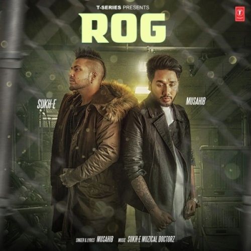 download Rog Musahib mp3 song ringtone, Rog Musahib full album download