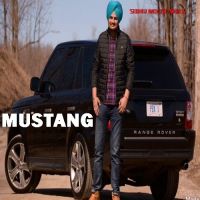 Download Moosa Alla Jatt Sidhu Moose Wala, Gurlez Akhtar and others... full mp3 album