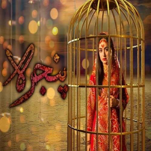 download Pinjra Rahat Fateh Ali Khan, Noraan Laal mp3 song ringtone, Pinjra Rahat Fateh Ali Khan, Noraan Laal full album download