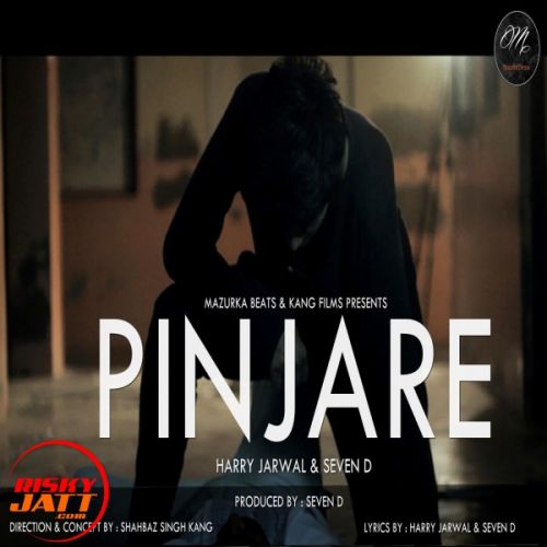 download Pinjare Narci, Harry Jarwal, Seven D mp3 song ringtone, Pinjare Narci, Harry Jarwal, Seven D full album download