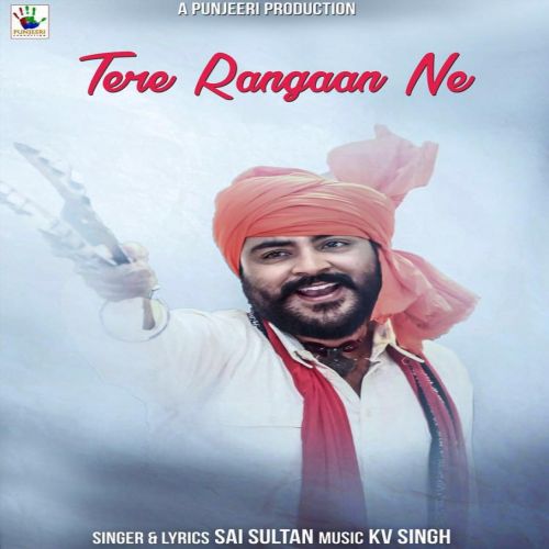 download Tere Rangaan Ne Sai Sultan mp3 song ringtone, Tere Rangaan Ne Sai Sultan full album download