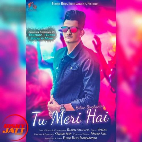 download Tu Meri Hai Rohan Singhania mp3 song ringtone, Tu Meri Hai Rohan Singhania full album download