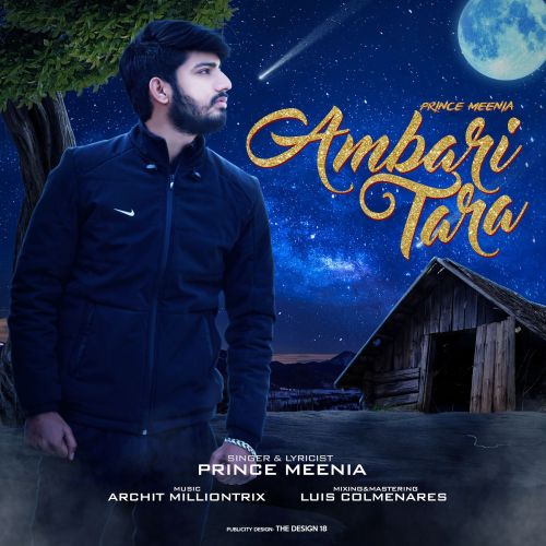 download Ambari Tara Prince Meenia mp3 song ringtone, Ambari Tara Prince Meenia full album download