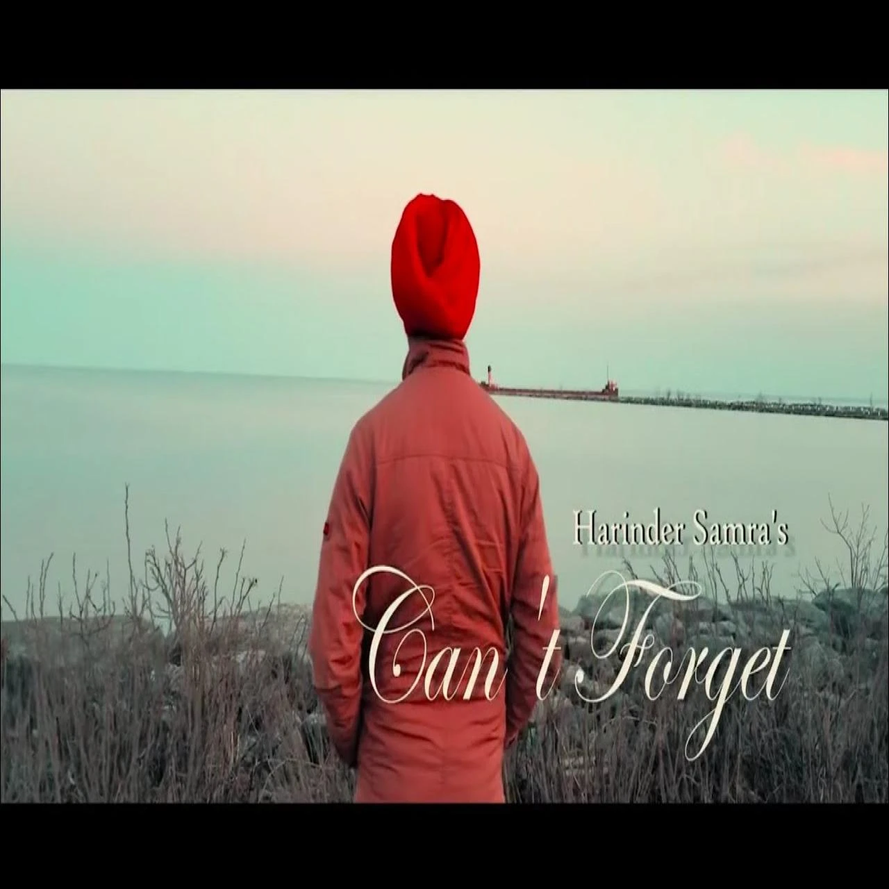 download Cant Forget Harinder Samra mp3 song ringtone, Cant Forget Harinder Samra full album download