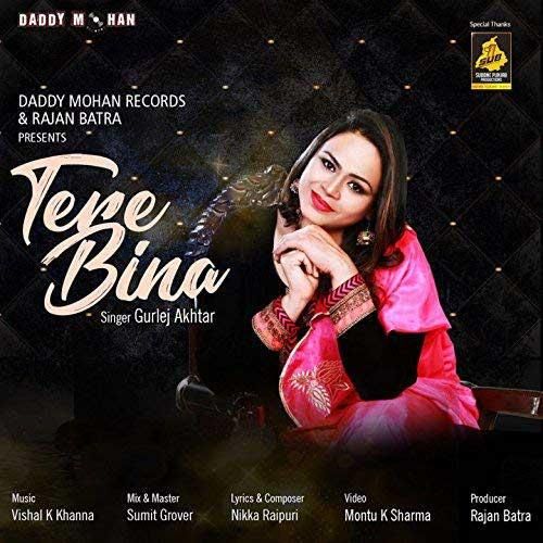download Tere Bina Gurlez Akhtar mp3 song ringtone, Tere Bina Gurlez Akhtar full album download