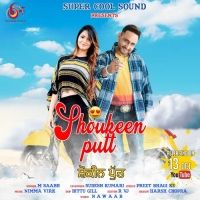 download Shoukeen Putt M Saabh, Sudesh Kumari mp3 song ringtone, Shoukeen Putt M Saabh, Sudesh Kumari full album download