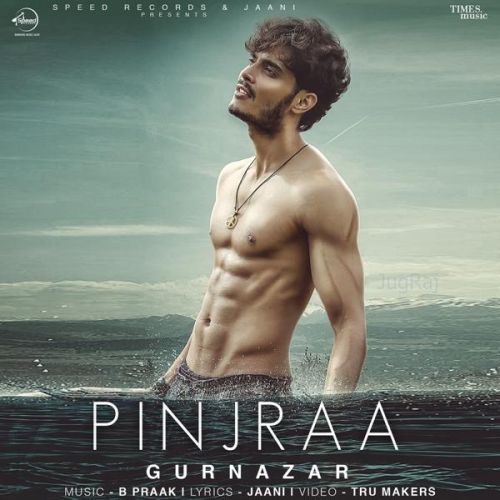 download Pinjraa Gurnazar mp3 song ringtone, Pinjraa Gurnazar full album download