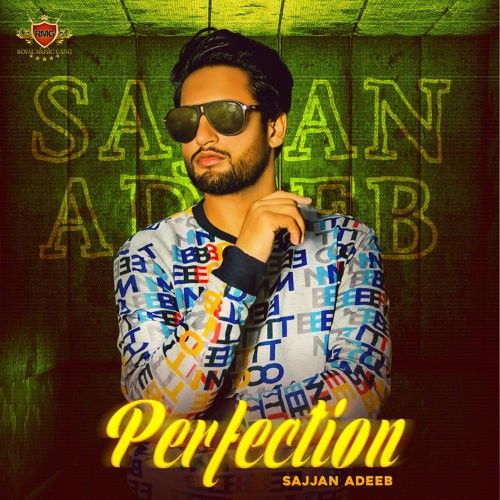 download Perfection Sajjan Adeeb mp3 song ringtone, Perfection Sajjan Adeeb full album download