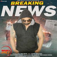 Breaking News Prit Brar Single Songs Ringtones Download RiskyJaTT Com