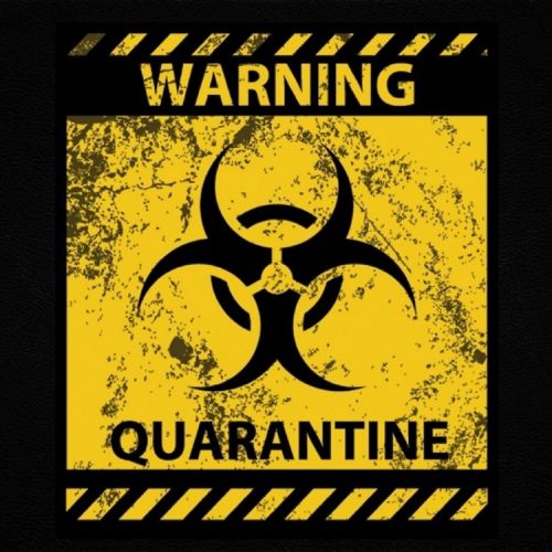 download Quarantine Rav Hanjra mp3 song ringtone, Quarantine Rav Hanjra full album download