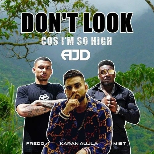 download Dont Look x So High (Remix) AJD, Karan Aujla, MIST, Fredo mp3 song ringtone, Dont Look x So High (Remix) AJD, Karan Aujla, MIST, Fredo full album download