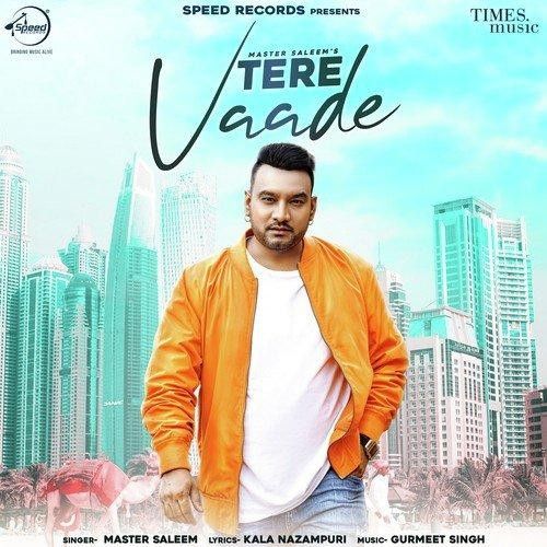download Tere Vaade Master Saleem mp3 song ringtone, Tere Vaade Master Saleem full album download
