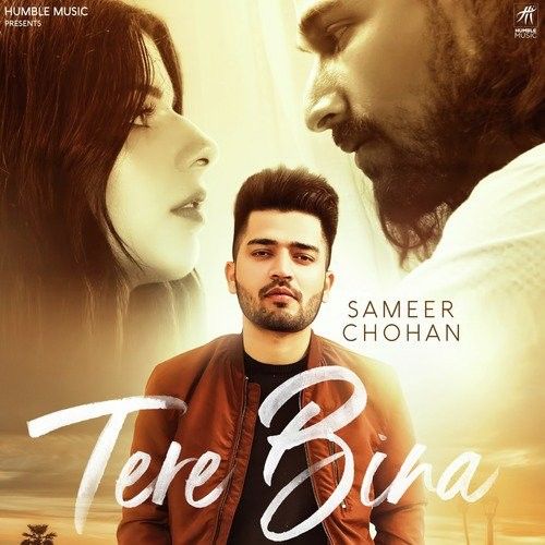 download Tere Bina Sameer Chohan mp3 song ringtone, Tere Bina Sameer Chohan full album download