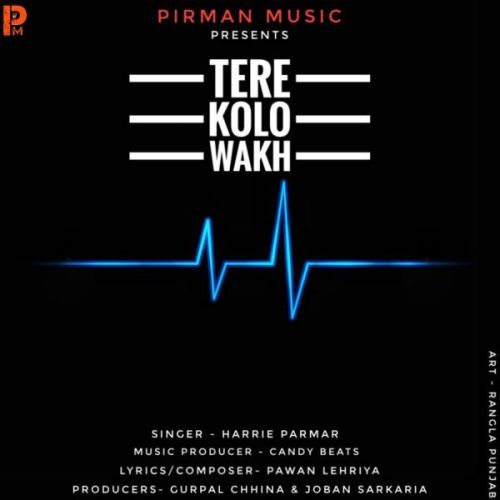 download Tere Kolo Wakh Harrie Parmar mp3 song ringtone, Tere Kolo Wakh Harrie Parmar full album download