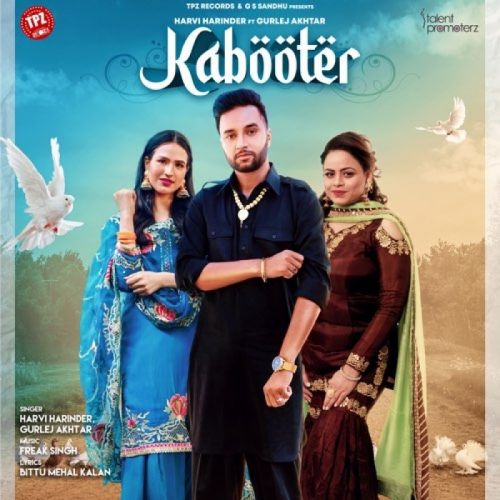 download Kabooter Harvi Harinder, Gurlez Akhtar mp3 song ringtone, Kabooter Harvi Harinder, Gurlez Akhtar full album download