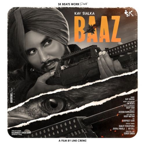 download Baaz Kay Sialka mp3 song ringtone, Baaz Kay Sialka full album download