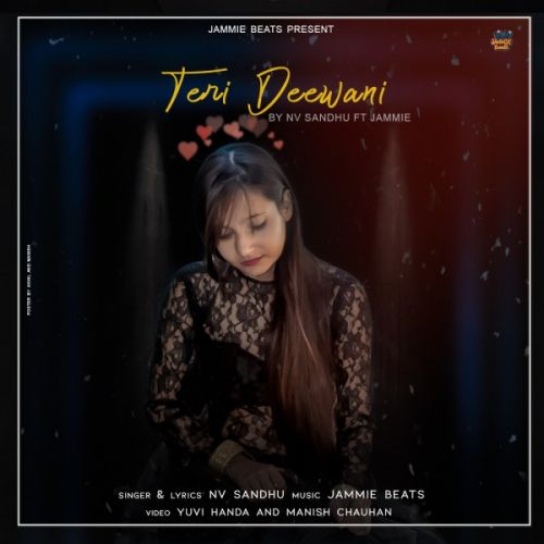 download Teri Deewani Nv Sandhu mp3 song ringtone, Teri Deewani Nv Sandhu full album download