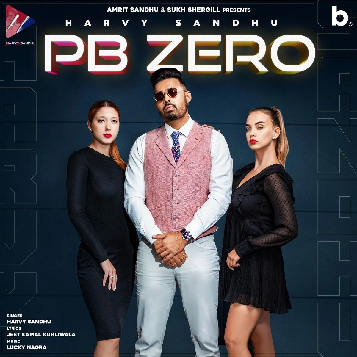 download Pb Zero Harvy Sandhu mp3 song ringtone, Pb Zero Harvy Sandhu full album download