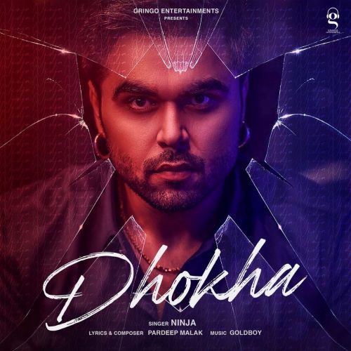 download Dhokha Ninja mp3 song ringtone, Dhokha Ninja full album download