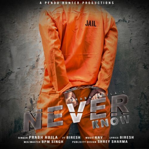 download Never Know Prabh Aujla, Biresh mp3 song ringtone, Never Know Prabh Aujla, Biresh full album download