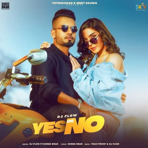 download Yes or No DJ Flow, Shree Brar mp3 song ringtone, Yes or No DJ Flow, Shree Brar full album download