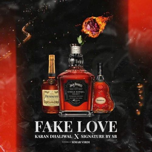 download Fake Love Karan Dhaliwal mp3 song ringtone, Fake Love Karan Dhaliwal full album download