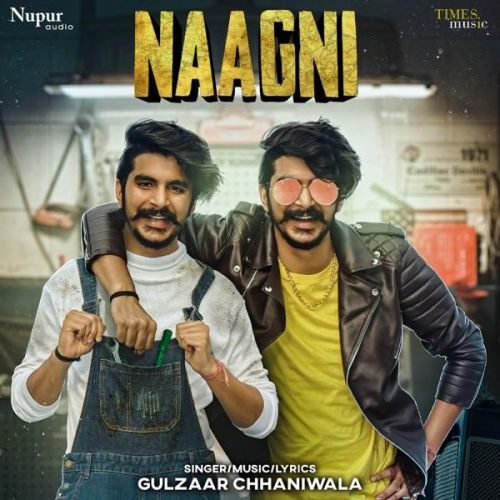 download Naagni Gulzaar Chhaniwala mp3 song ringtone, Naagni Gulzaar Chhaniwala full album download