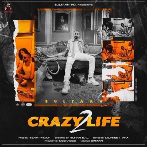 download Crazy Life 2 Sultaan mp3 song ringtone, Crazy Life 2 Sultaan full album download