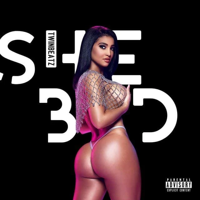 download She Bad Twinbeatz mp3 song ringtone, She Bad Twinbeatz full album download