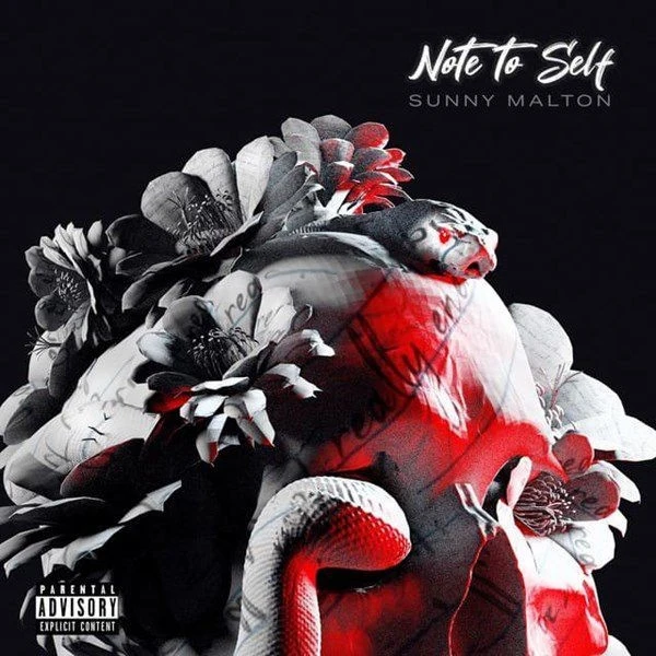 download Note to Self Sunny Malton mp3 song ringtone, Note to Self Sunny Malton full album download