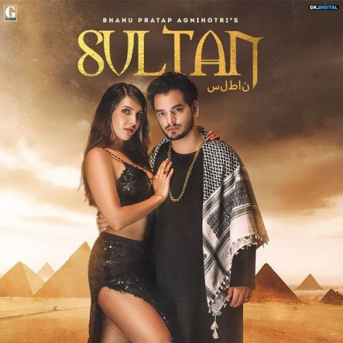 download Sultan Bhanu Pratap Agnihotri mp3 song ringtone, Sultan Bhanu Pratap Agnihotri full album download