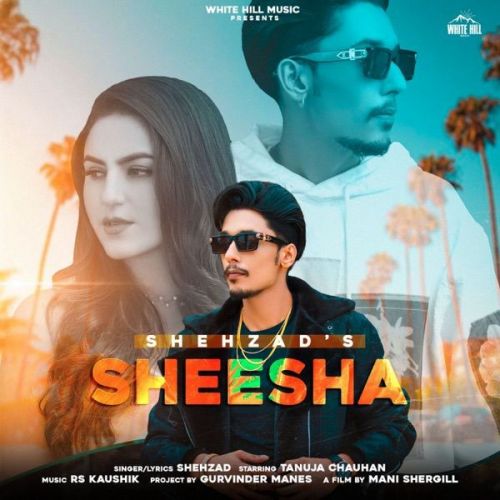 download Sheesha Shehzad mp3 song ringtone, Sheesha Shehzad full album download