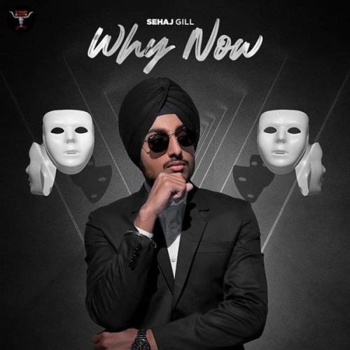 download Why Now Sehaj Gill mp3 song ringtone, Why Now Sehaj Gill full album download