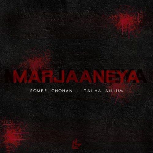 download Marjaaneya Somee Chohan, Talha Anjum mp3 song ringtone, Marjaaneya Somee Chohan, Talha Anjum full album download