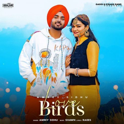 download Love Birds Amrey Sidhu mp3 song ringtone, Love Birds Amrey Sidhu full album download