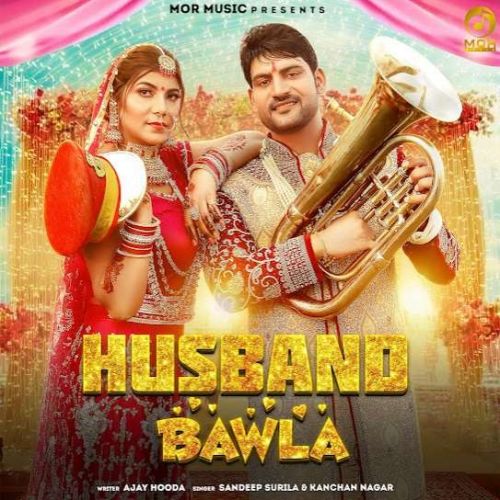 download Husband Bawla Sandeep Surila mp3 song ringtone, Husband Bawla Sandeep Surila full album download