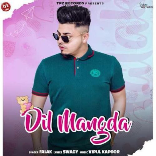 download Dil Mangda Falak mp3 song ringtone, Dil Mangda Falak full album download