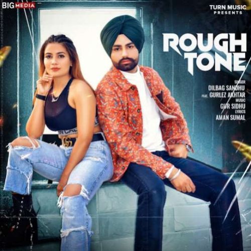 download Rough Tone Dilbag Sandhu, Gurlez Akhtar mp3 song ringtone, Rough Tone Dilbag Sandhu, Gurlez Akhtar full album download