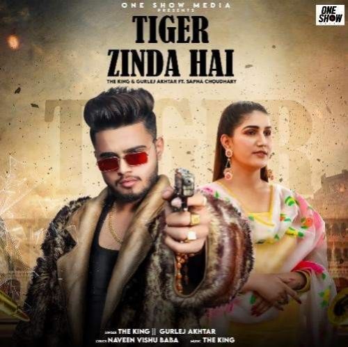 download Tiger Zinda Hai The King, Gurlej Akhtar mp3 song ringtone, Tiger Zinda Hai The King, Gurlej Akhtar full album download