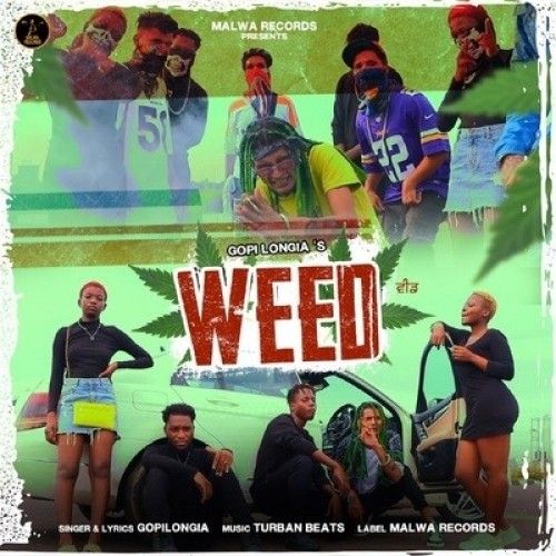 download WEED Gopi Longia mp3 song ringtone, WEED Gopi Longia full album download