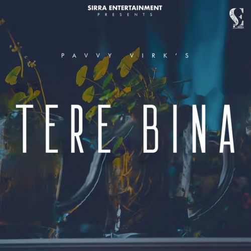 download Tere Bina Pavvy Virk mp3 song ringtone, Tere Bina Pavvy Virk full album download