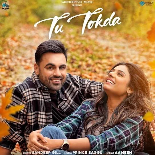 download Tu Tokda Sandeep Gill mp3 song ringtone, Tu Tokda Sandeep Gill full album download