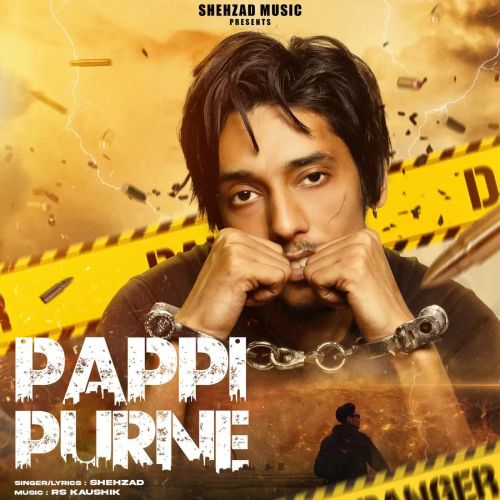 download Pappi Purne Shehzad mp3 song ringtone, Pappi Purne Shehzad full album download