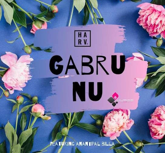 download Gabru Nu DJ Harv mp3 song ringtone, Gabru Nu DJ Harv full album download